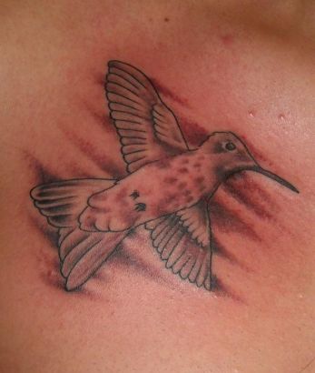 Birds tattoos, Humming Bird tattoos, Tattoos of Birds, Tattoos of Humming Bird, Birds tats, Humming Bird tats, Birds free tattoo designs, Humming Bird free tattoo designs, Birds tattoos picture, Humming Bird tattoos picture, Birds pictures tattoos, Humming Bird pictures tattoos, Birds free tattoos, Humming Bird free tattoos, Birds tattoo, Humming Bird tattoo, Birds tattoos idea, Humming Bird tattoos idea, Birds tattoo ideas, Humming Bird tattoo ideas, hummingbird tats image